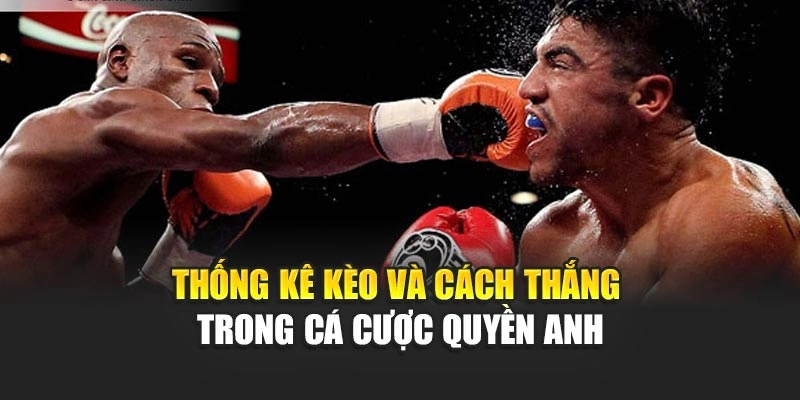 Thống kê kèo và cách thắng trong cá cược quyền Anh